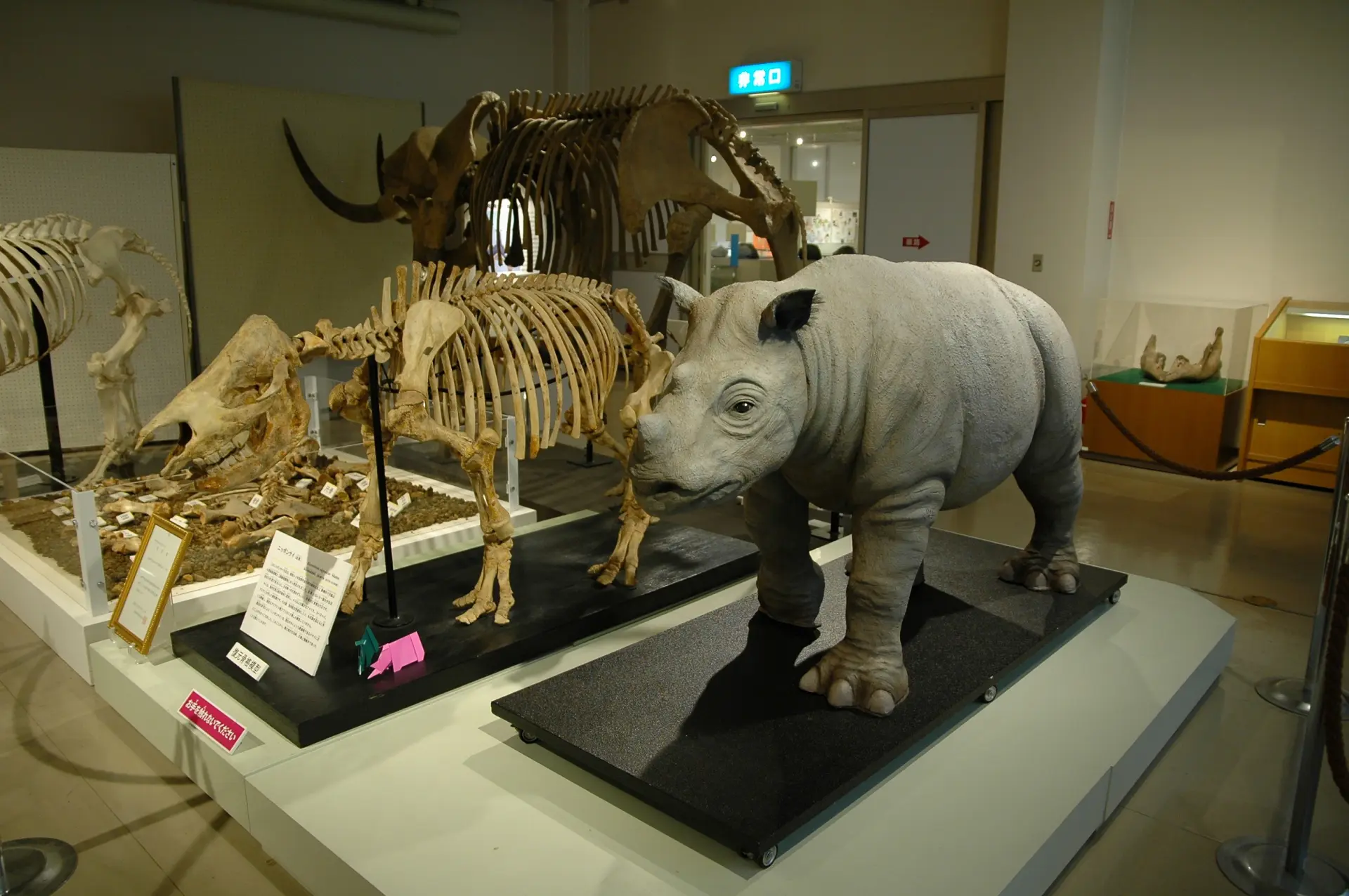 佐野市葛生化石館