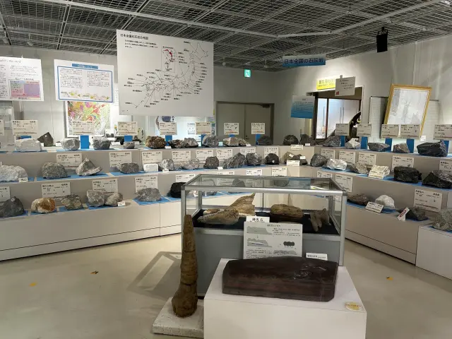 日本全国から集められた石灰岩がずらり