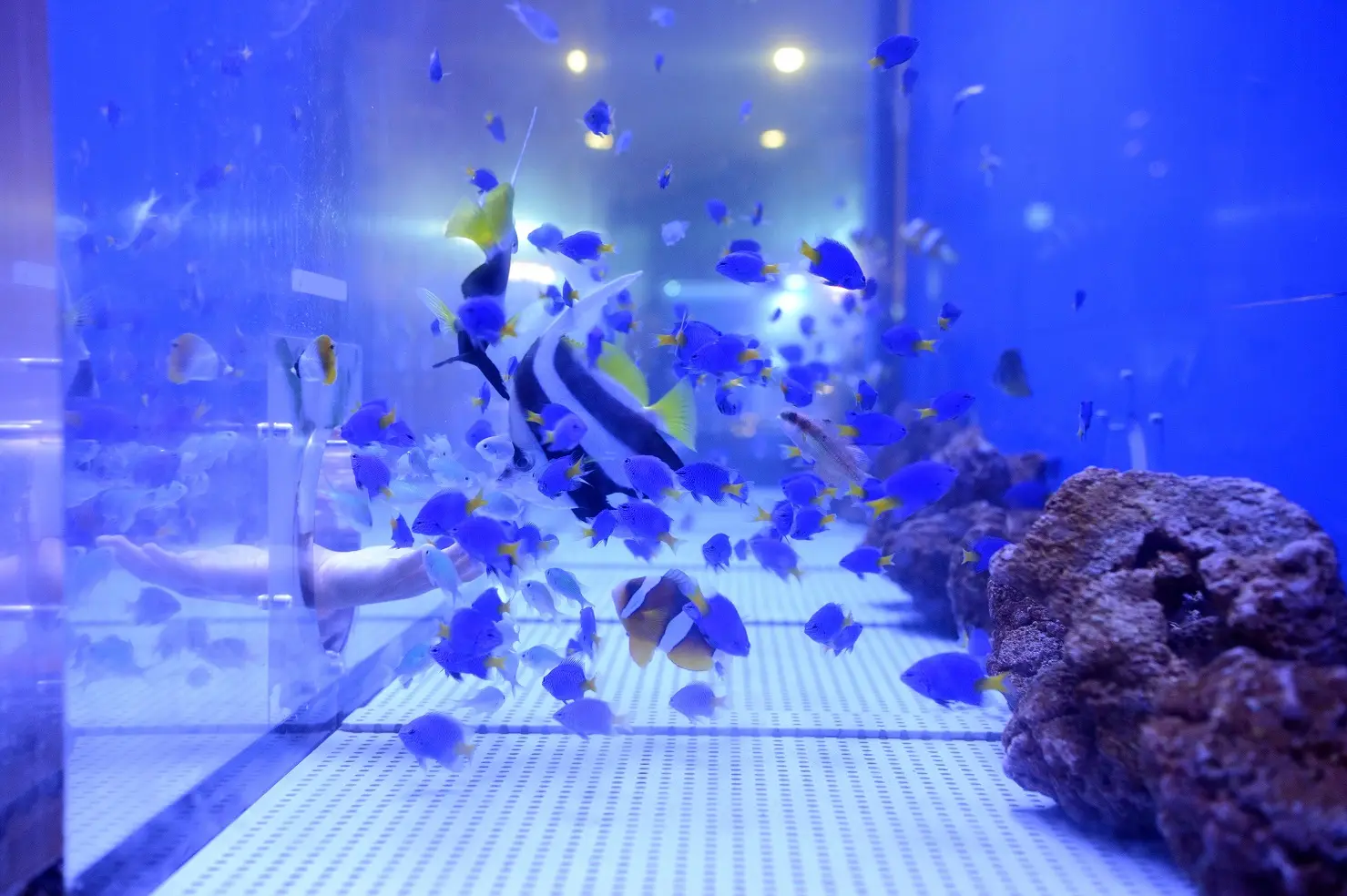 浜名湖体験学習施設ウォット