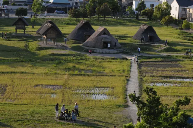 屋上テラスからは登呂遺跡を一望することができる