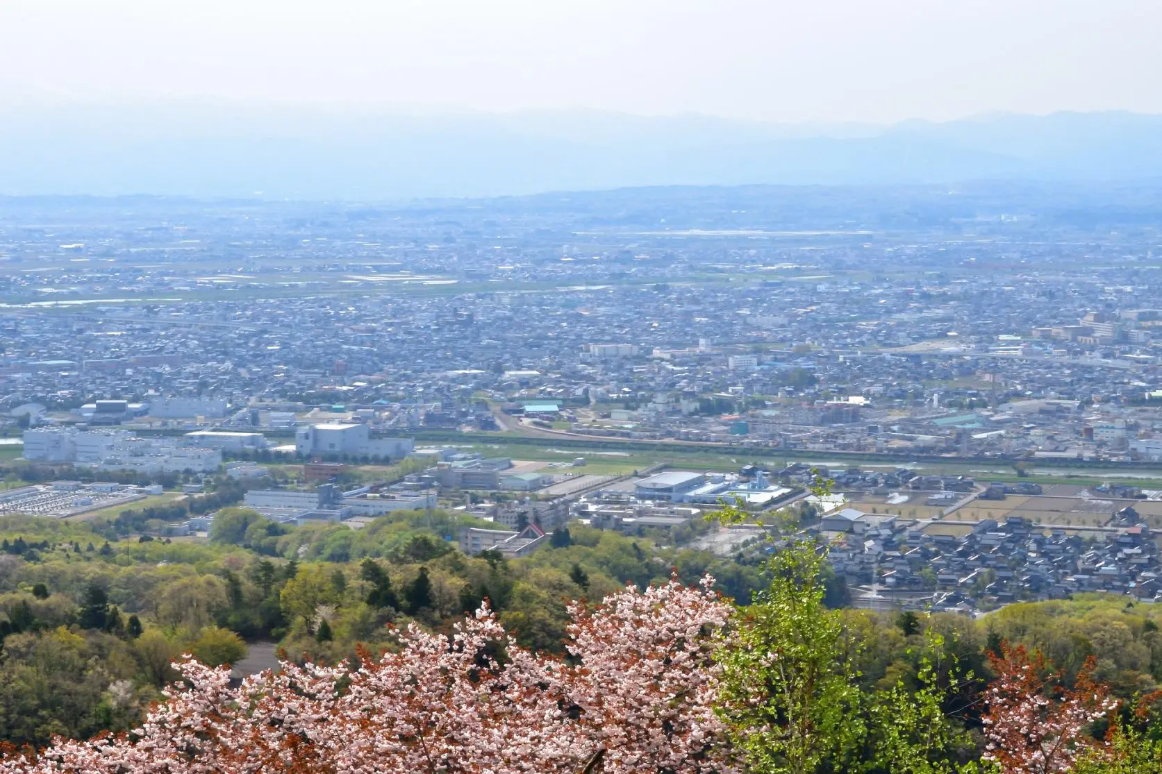 二上山万葉ライン