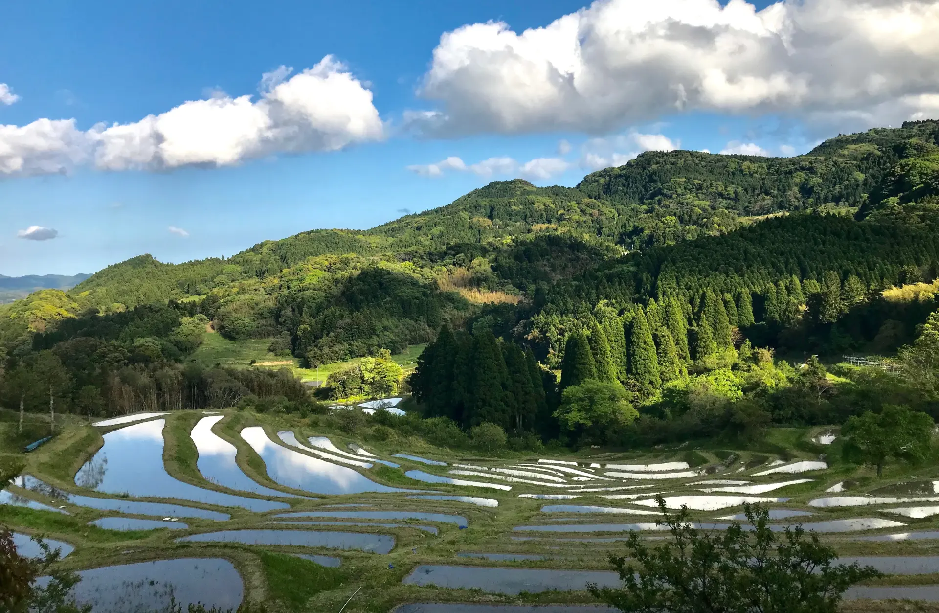 大山千枚田