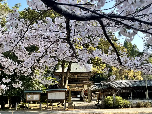 櫻井神社