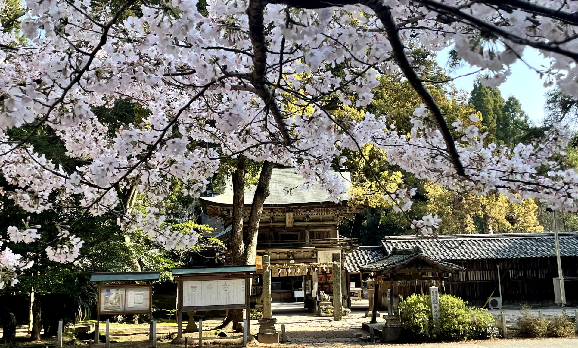 櫻井神社