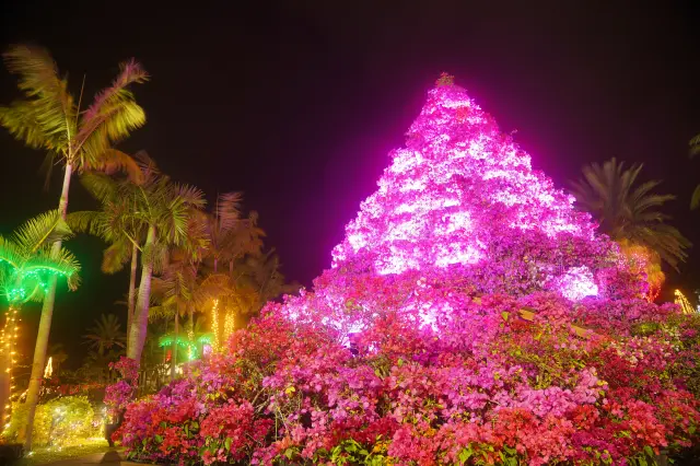 17時からはタワーのライトアップを実施