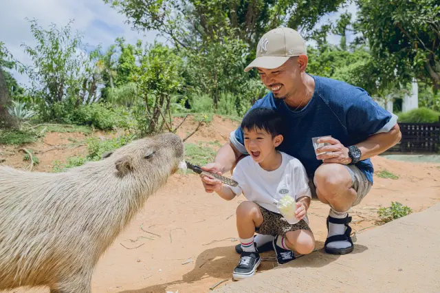 カピバラなどの動物とふれあえる