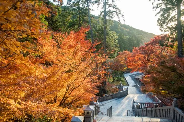 秋の紅葉をはじめ四季折々の景観が楽しめる