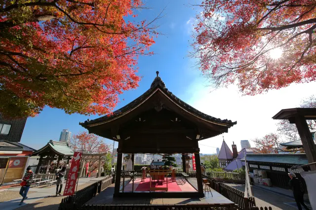 舞の奉納などが行われる拝殿