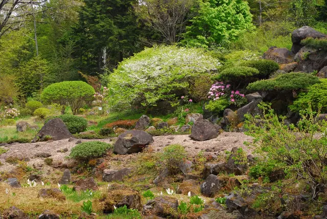 4〜5月に見頃を迎える高山植物区