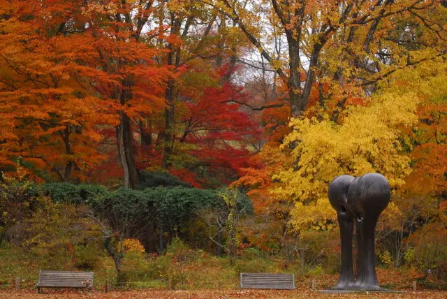秋の紅葉も美しい