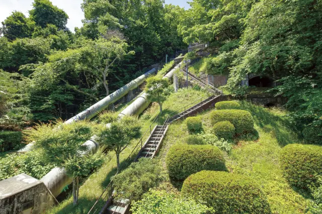 自然が広がる水と森のテラス