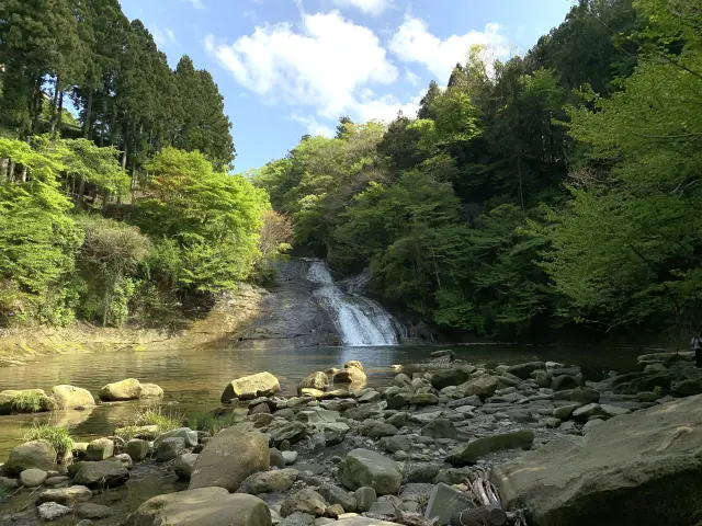 四季折々の景観が魅力で、新緑の季節も美しい