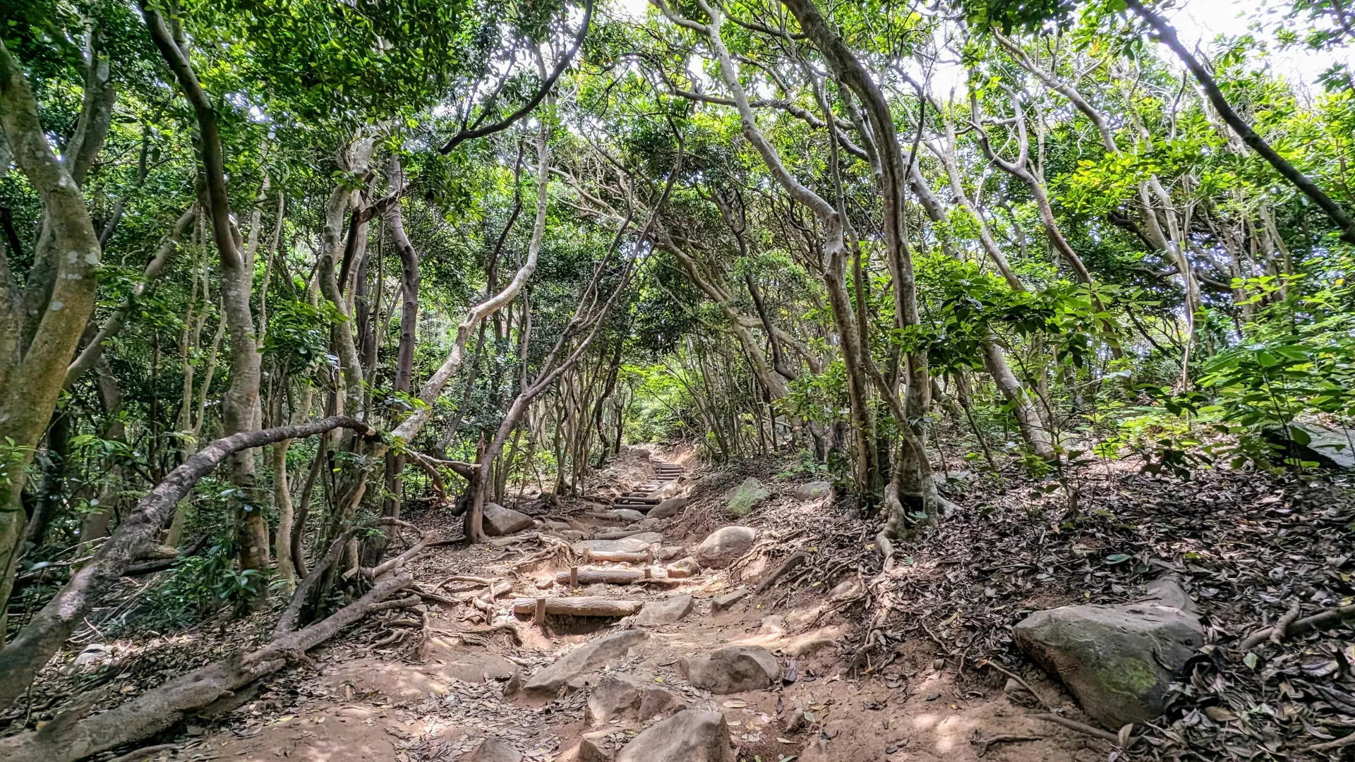 芥屋の大門公園