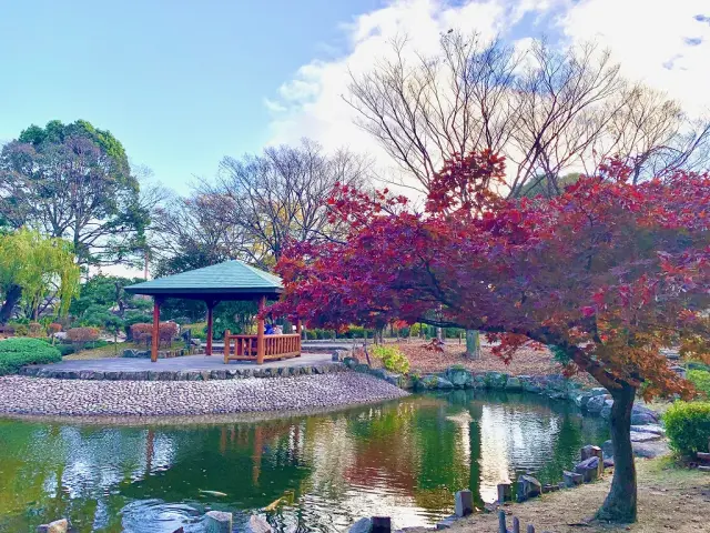 池を中心に整備された日本庭園
