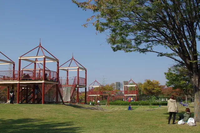 芝生広場には大型遊具を設置