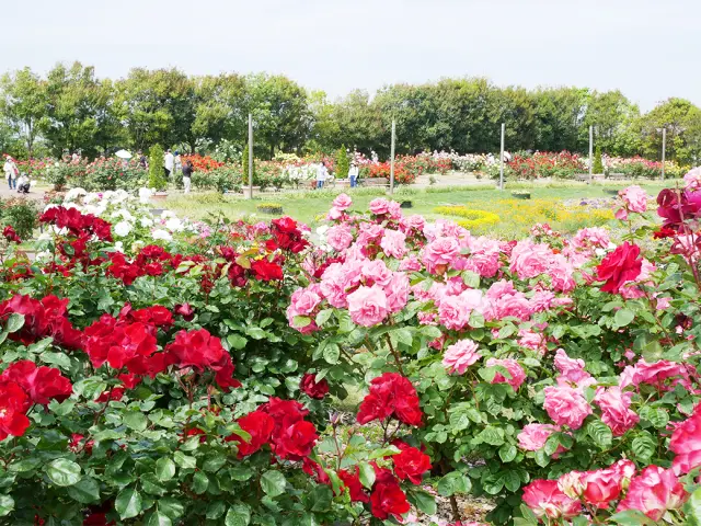 せんだい農業園芸センター みどりの杜