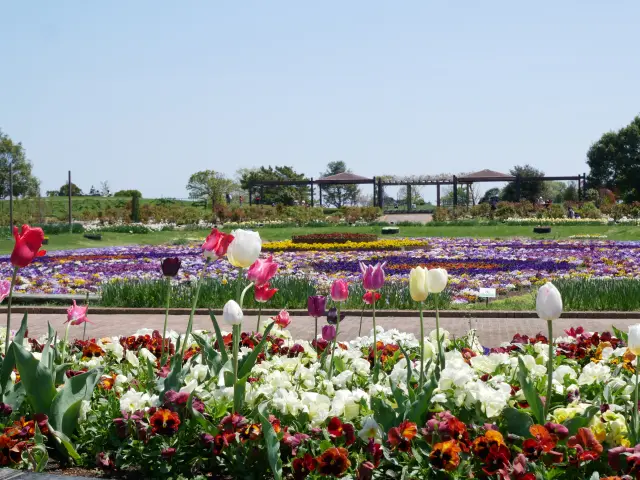 季節の花が咲く沈床花壇
