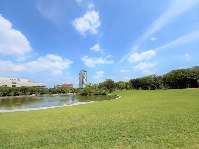 多摩中央公園