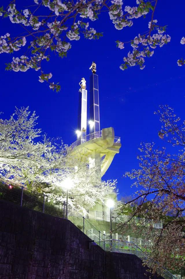 夜はライトアップされロマンティックな雰囲気