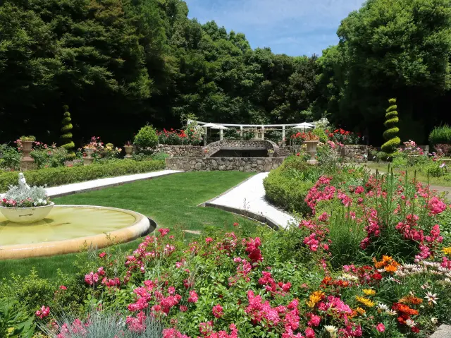植物園内に整備された花の庭園