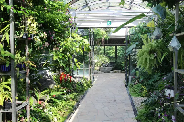 主に亜熱帯・熱帯の植物を展示する観賞温室