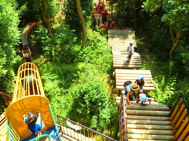 自然の中で体を使って遊べるフィールドアスレチック