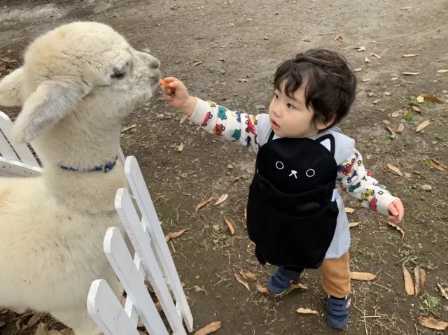 エサやり&ふれあい体験が楽しみ