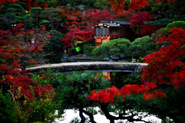 紅葉シーズンには夜間ライトアップも実施。幻想的な景観が広がる