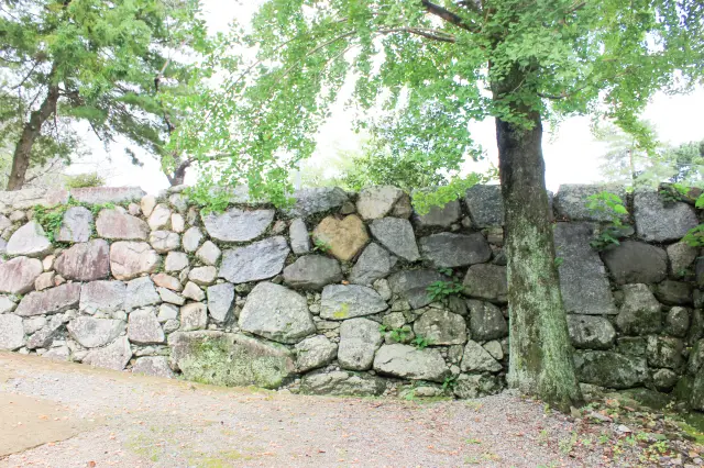 猪の目石と呼ばれるハート型を探してみよう