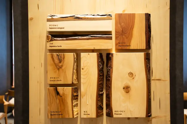 Timber felled during the cafe’s construction is reused in the interior decor.