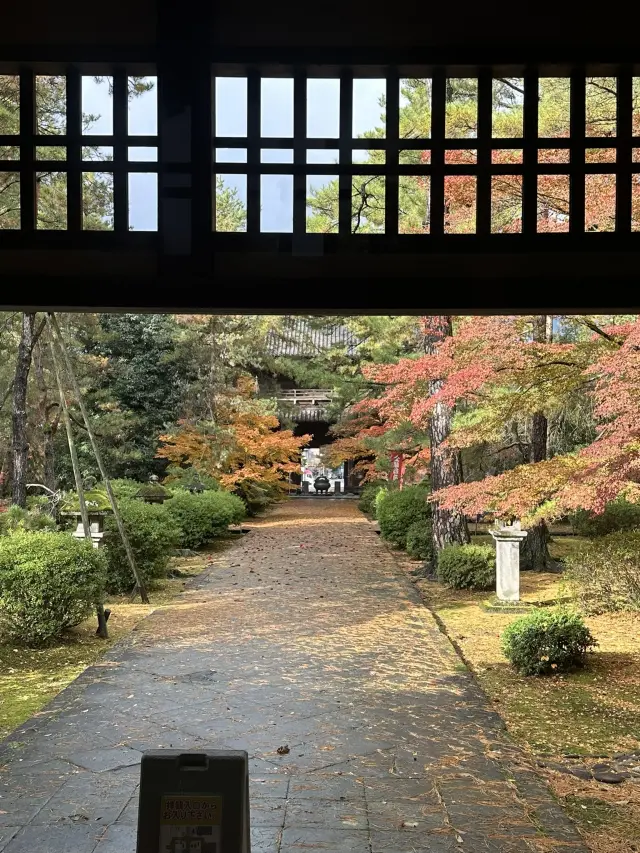 紅葉など四季折々の景観も見どころ