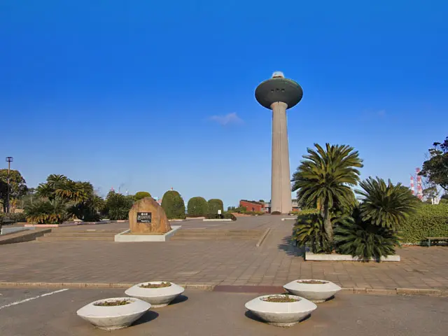 南国の樹木がおよそ8,000本植栽されている