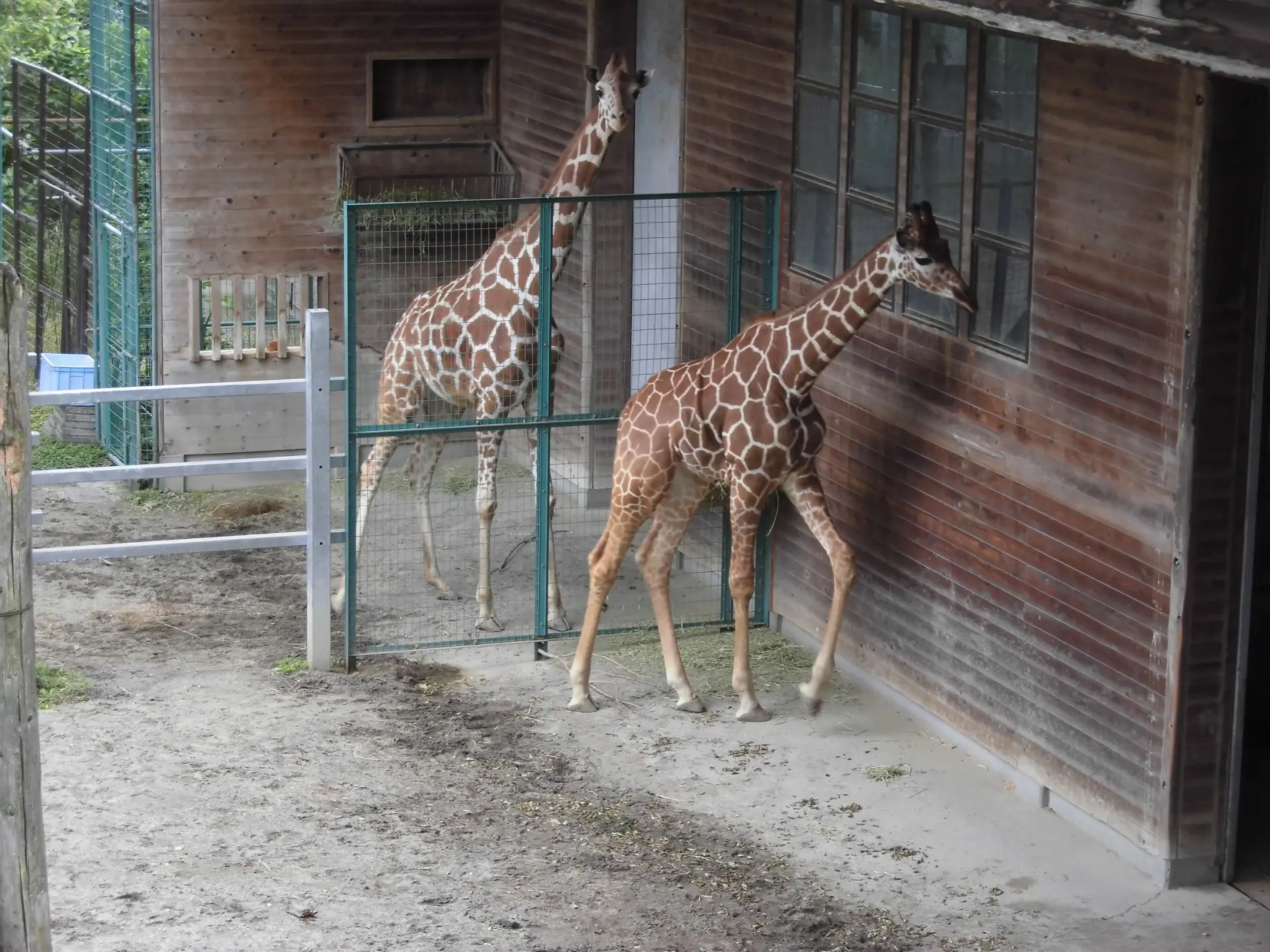 桐生が岡動物園