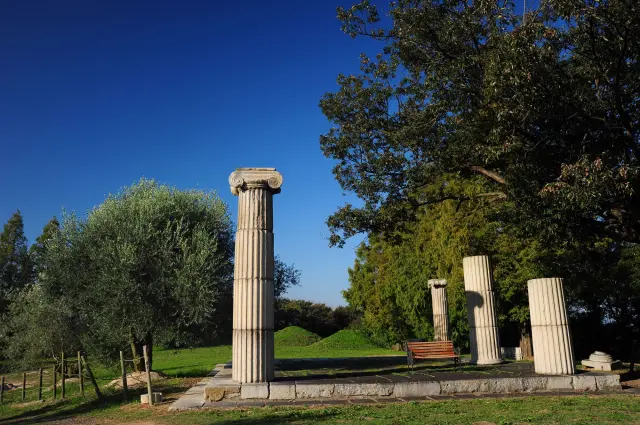 オリーブ園内の「ローマの丘」