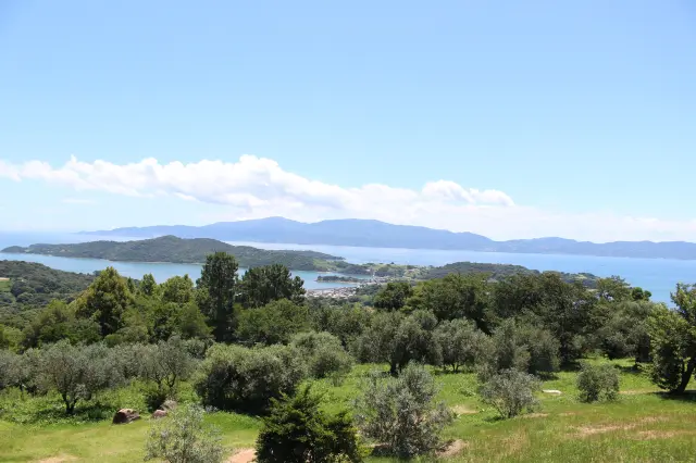 3階と5階の展望台からは瀬戸内の多島美が一望できる