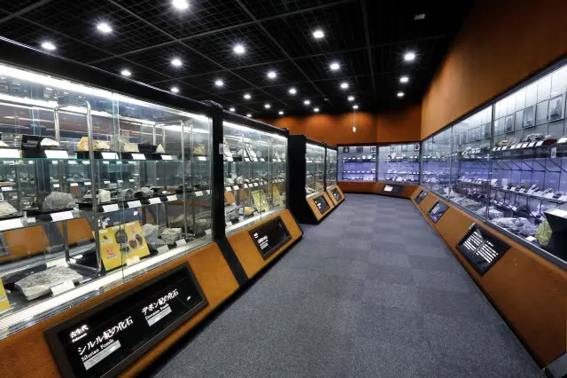 第４展示室では、多くの岩石・鉱物・化石の標本を見ることができる
©国立研究開発法人産業技術総合研究所