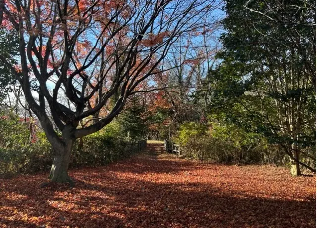 紅葉シーズンも美しい