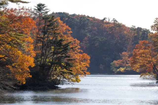 秋には水辺の木々が黄色や赤に色づく