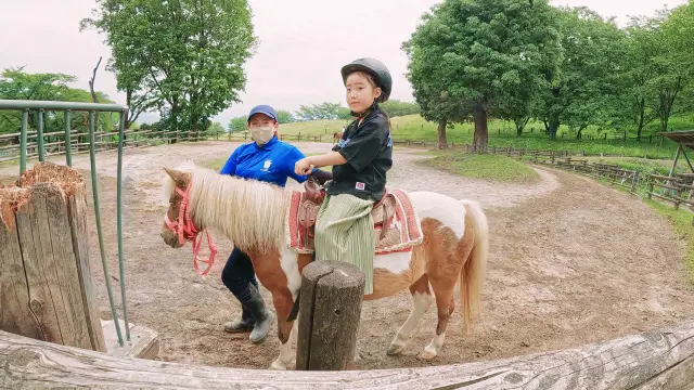 かわいいポニーの背中に乗っておさんぽ体験を楽しめる