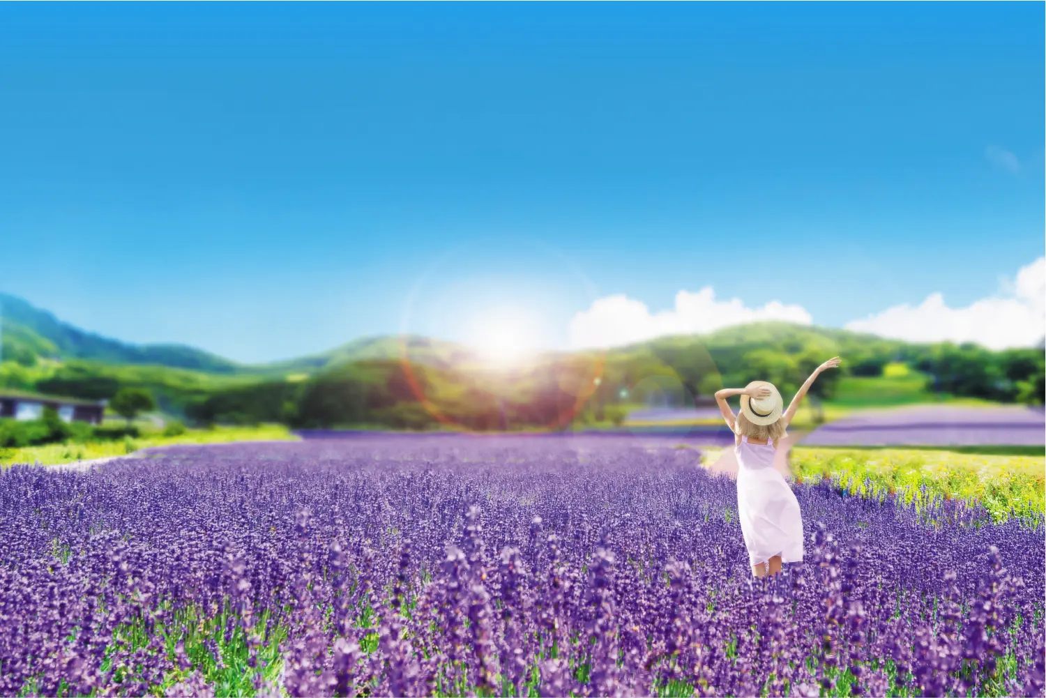 たんばらラベンダーパーク