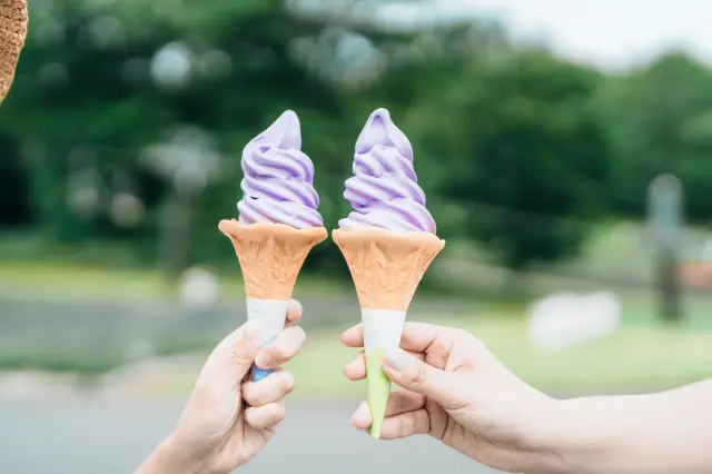 ほんのりラベンダーの香りが漂う、紫色のソフトクリームをぜひ味わいたい