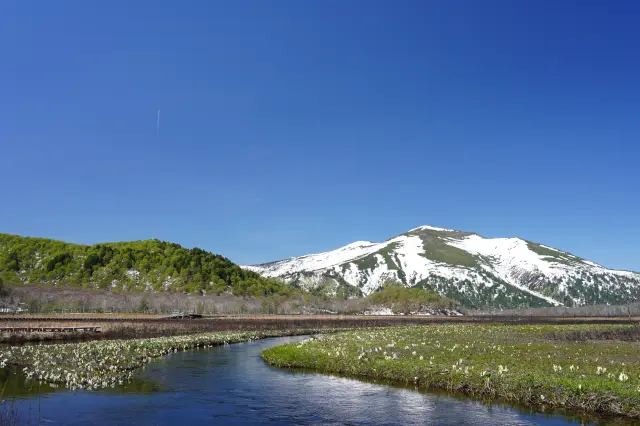 5月下旬〜6月上旬には水芭蕉が咲き、雪が残る山と相まってダイナミックな眺めを楽しめる