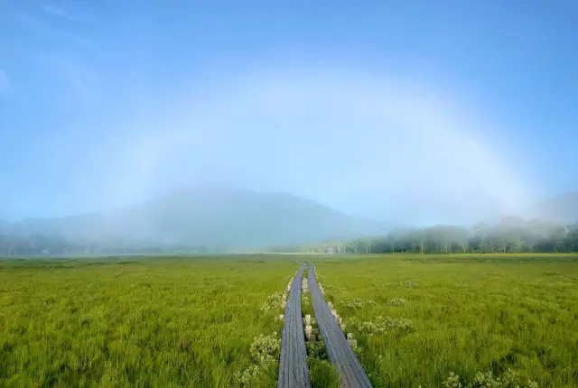 夏の晴れた日の朝には、白い虹が見えることも。