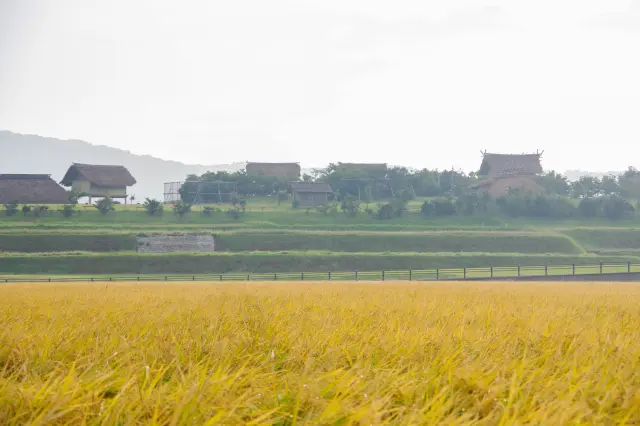 『魏志』倭人伝に記された「一支国」の王都に特定された2,000年前の遺跡