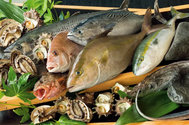 玄界灘にもまれ身の引き締まったイカやブリなどのお刺身はここでしか味わえない絶品