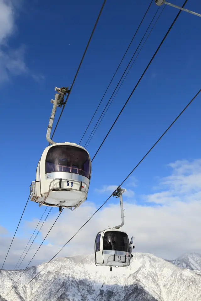 山頂まで運んでくれるゴンドラ