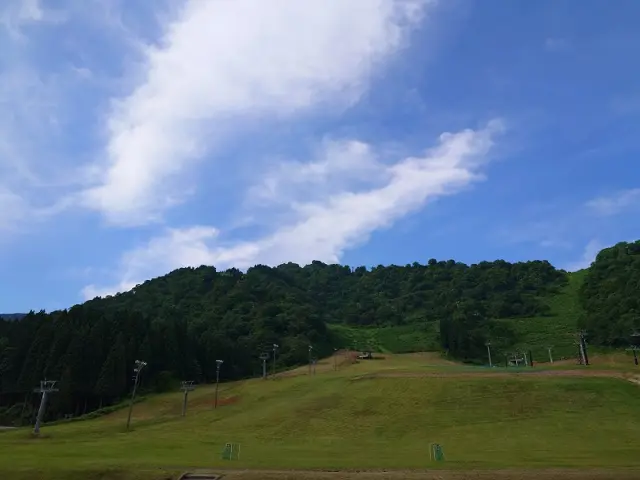 夏は自然の中で様々なアクティビティが体験できる