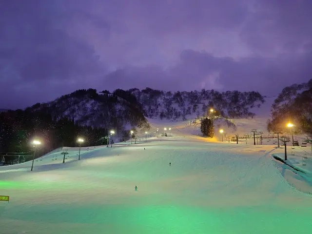 1・2月にはナイター営業もあり一日中楽しめる