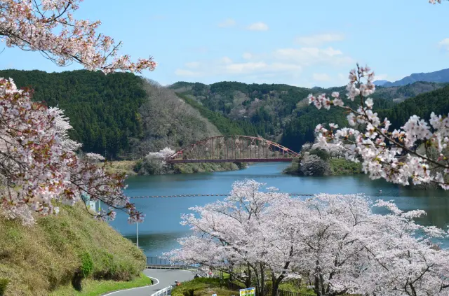 春のお花見スポットとしてもおなじみ