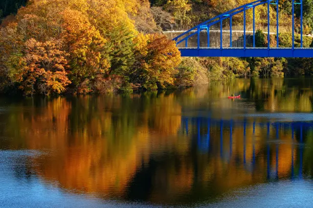 四季折々の美しい花風景が湖面に映し出される